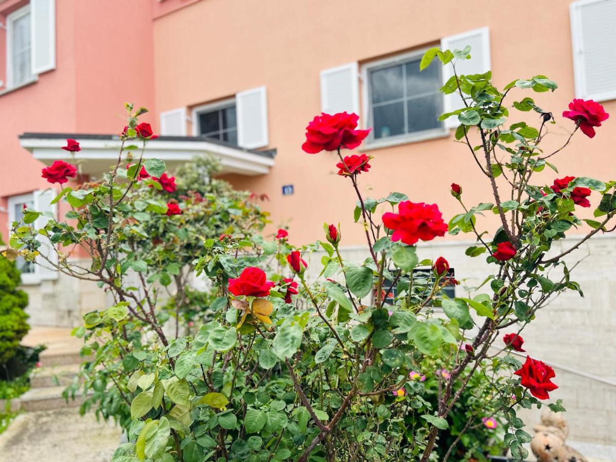 Casa Cino Apartment อูมัค ภายนอก รูปภาพ